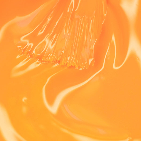 Gel On-Off B Color Mandarin Euphoria